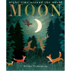 Night-time around the world MOON - Book