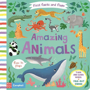 First facts and flaps amazing animals