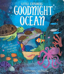 Books Sensory: Goodnight Ocean - Book