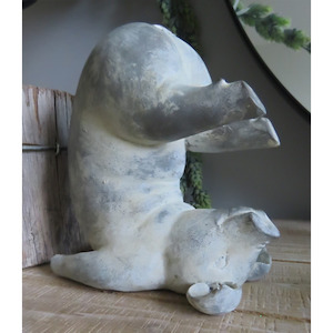 Yoga Pig - Plow Pose