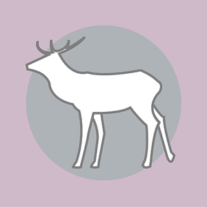 Products: Venison Leg Fillet 700gm