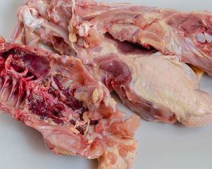 Products: Whole Meaty Chicken Frames Raw Meat for Pets Wellington NZ