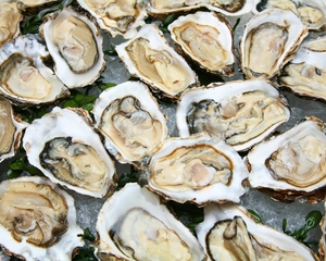 Products: Fresh Bluff Oysters Dozen Oysters Pottled Meat Direct Wellington