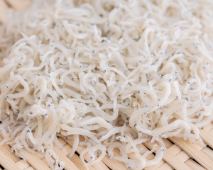 Fresh West Coast Whitebait Meat Direct Wellington