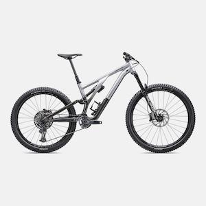 Cyber Savings: Stumpjumper EVO Elite Alloy  - SRAM GX Eagle, RockShox Ultimate