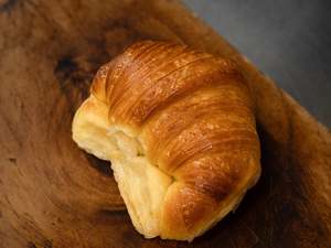 Frontpage: Medialuna - Plain