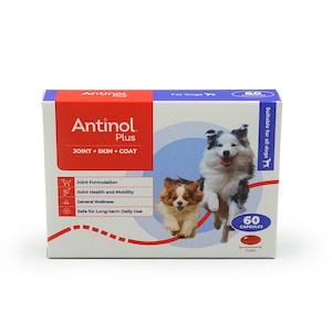 Dogs: Antinol® Plus For Dogs