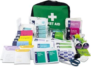 First Aid Kits: Lewis-Plast Premium All Purpose 309 Piece First Aid Kit