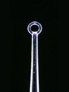 Nursing: ClearLook AngleLoop 4mm loop