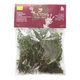 Thetida Organic Thyme 20g