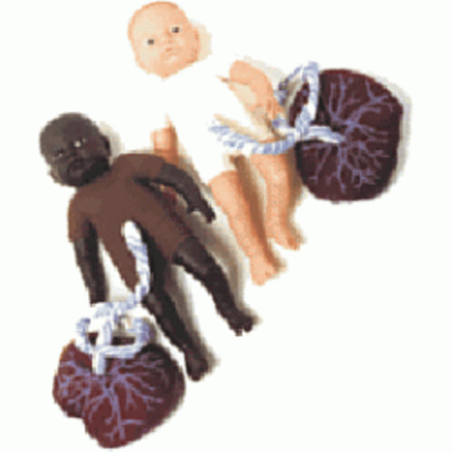 Birth Education & Training Aids: Fetal Doll Pink