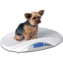 Products: Brecknell MS15 Medical Veterinary Scale - Small Animal