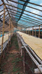 Products: Ethiopian Washed v Natural Bundle