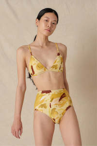 Hakea: Santiago Bottom Sunflower