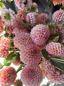 Kāpiti florist specialising in sustainable bouquets delivered and luxury wedding flowers