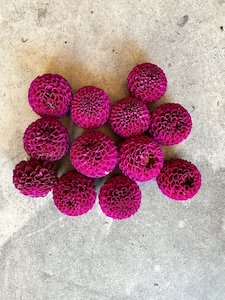 Kāpiti florist specialising in sustainable bouquets delivered and luxury wedding flowers