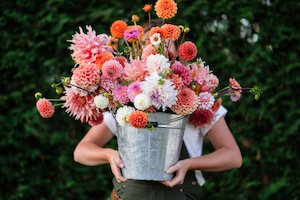 Kāpiti florist specialising in sustainable bouquets delivered and luxury wedding flowers