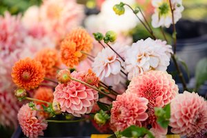 Kāpiti florist specialising in sustainable bouquets delivered and luxury wedding flowers