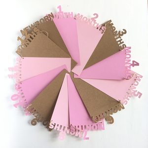 First Year Photo Garland - Melrose Paper Designs