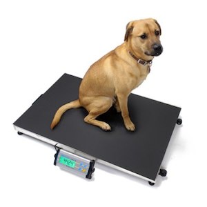 Scales: MCSM Adam Equipment Animal Scale