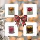 Christmas Mini Set