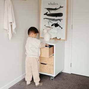 Ayse Bedroom: TALLboy 3 Drawer Cooper