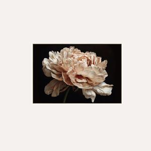 Wall Art: Flower Bomb V1