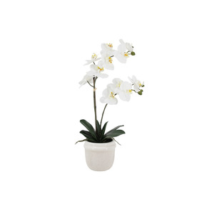 White Phalaenopsis Orchid in Ceramic Pot – 58cm