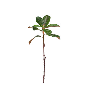 Planters: Magnolia Leaf Spray - 59cm