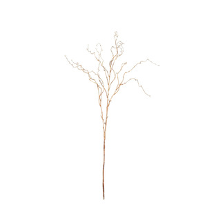 Willow Branch Light Brown - 100cm