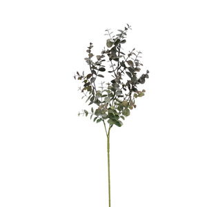 Silver Dollar Eucalyptus Spray Dusty Rose Grey - 65cm