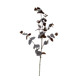 Eucalyptus Spray Brown - 86cm