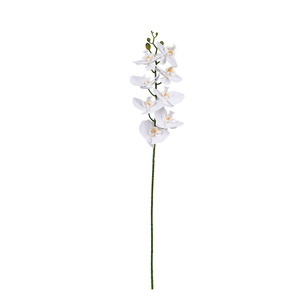 Phalaenopsis Orchid White - 86cm