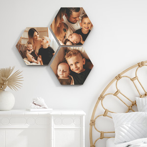 Photo Walls 1: Rose Hexagon Set of 3