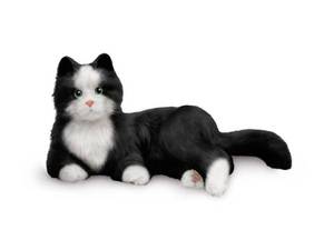 Products: Joy for all Ageless Innovation Companion Pet – Tuxedo Cat