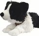 Soft Border Collie Lying 60cm 77413