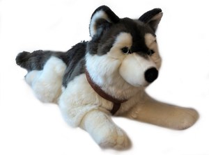 Soft Large Husky Lying 60cm 71377