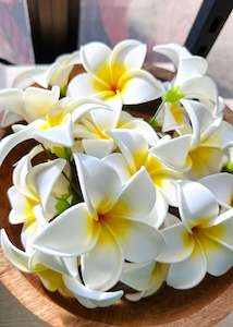 Accessories: Frangipani Hair Sei