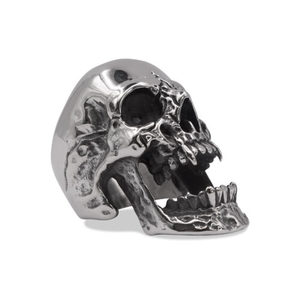 Skull Rings