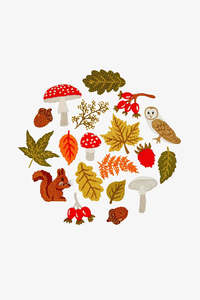 Dmc Threads: Autumn DMC Embroidery Kit