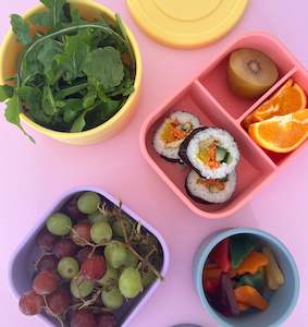 Snack Bento Bundle