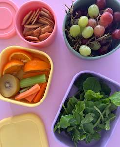 Bento Box: Essentials Bundle