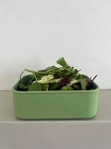 Large Rectangle Container