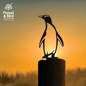 Hoiho / Yellow-eyed Penguin