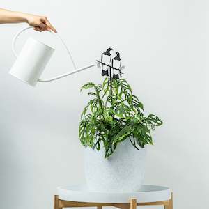 Urban art: Kererū Pair Plant Stake - 100cm