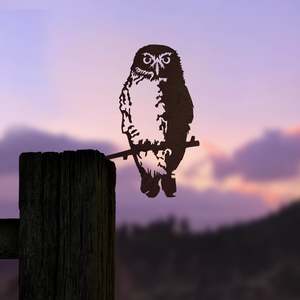 Best Sellers: Ruru / Morepork