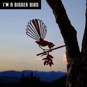 Bnz Promo Collection: Pīwakawaka / Fantail - Large