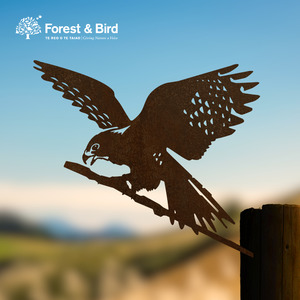 Signature Styles: Kārearea: Wings of Glory