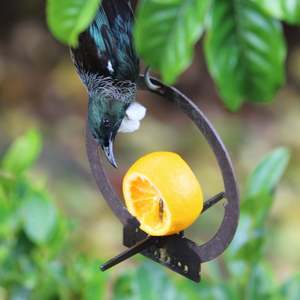 Hanging Bird Feeder