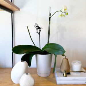 no_free_mini: Honey Bee Plant Stake - 70cm